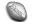 exotic viagra bw