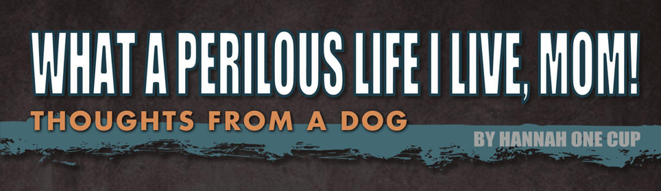 What A Perilous Life I Live, Mom! — Thoughts from a Dog