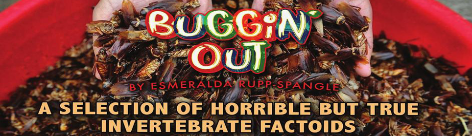 Buggin’ Out: A Selection of Horrible but True Invertebrate Factoids