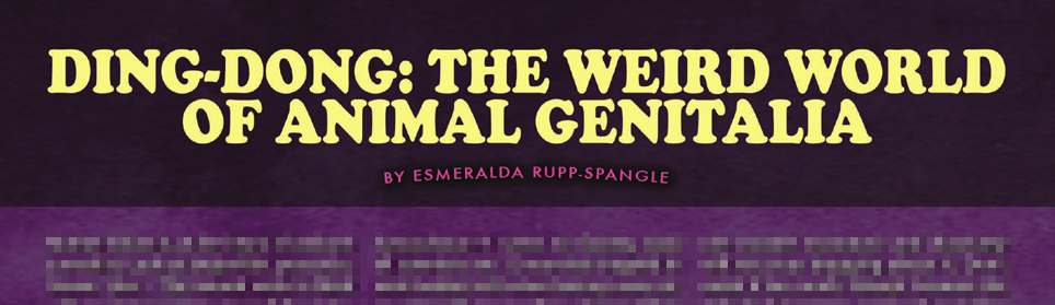 Ding-Dong: The Weird World of Animal Genitalia