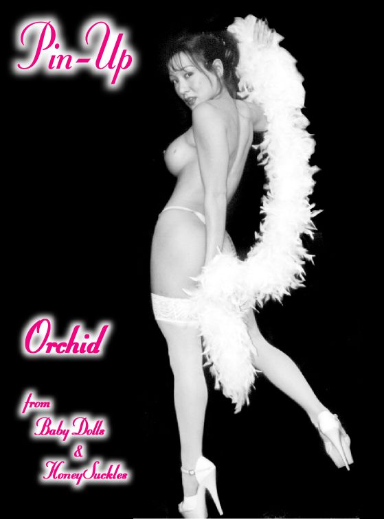 Pin-Up -- Orchid from Baby Dolls & Honey Suckles