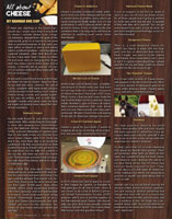 All About Cheese