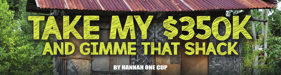 Take My $350K and Gimme That Shack